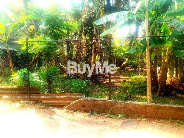 LAND FOR SALE IN KADAWATHA GANEMULLA ROAD