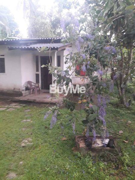 HOUSE FOR SALE IN PANADURA WADDUWA