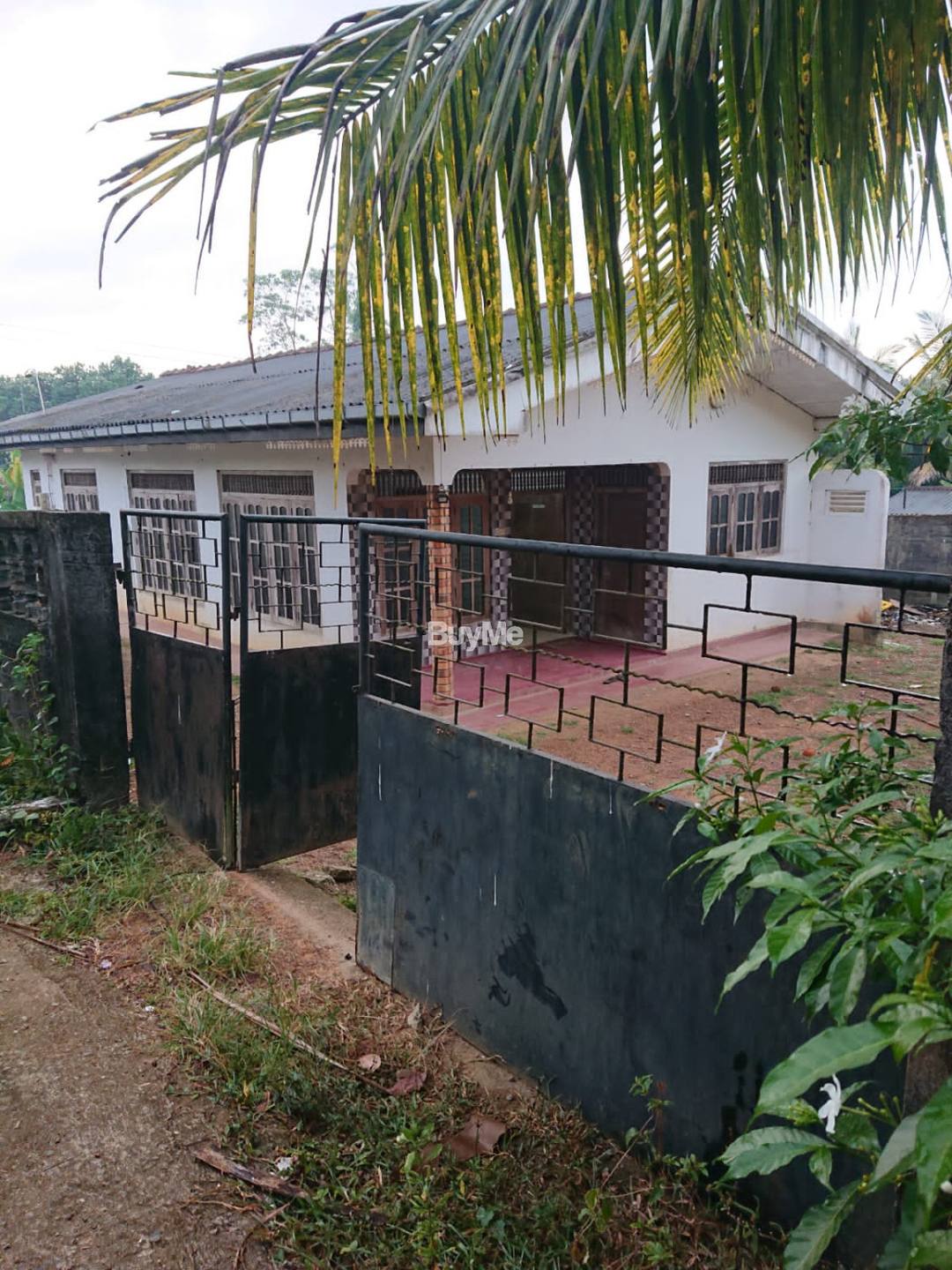 කලුතර පන්විල ප්‍රදේශයේ නිවසක් කුලියට දීමට තිබේ..🏡