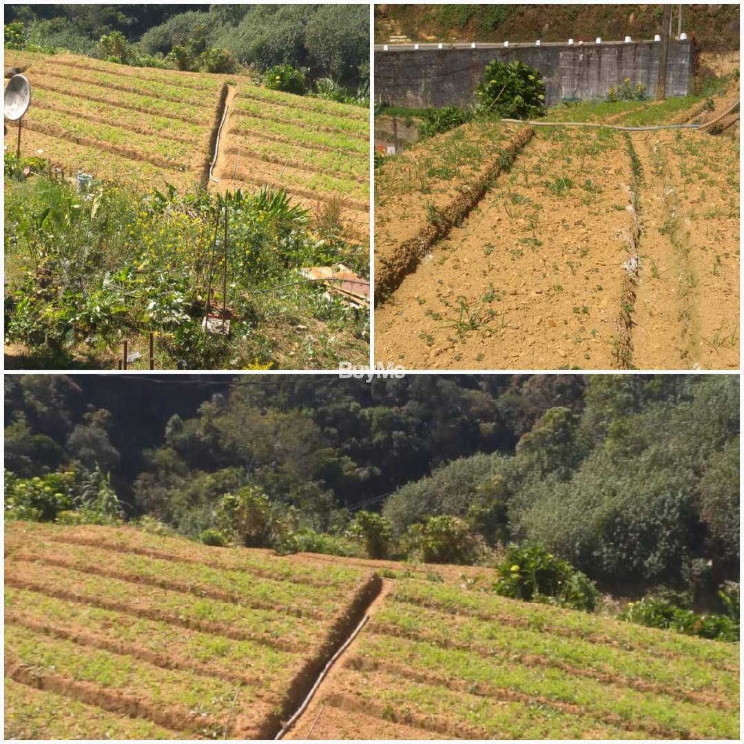 LAND FOR SALE IN NUWARAELIYA