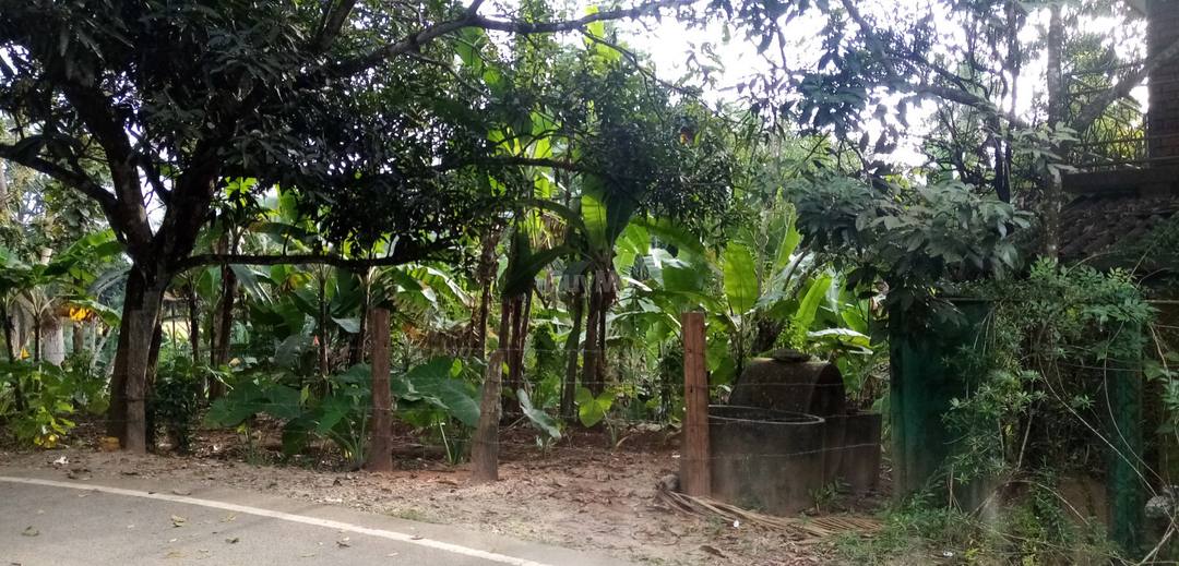 සුන්දර පරිසරයක අගනා බිම් කොටසක් විකිණීමට
