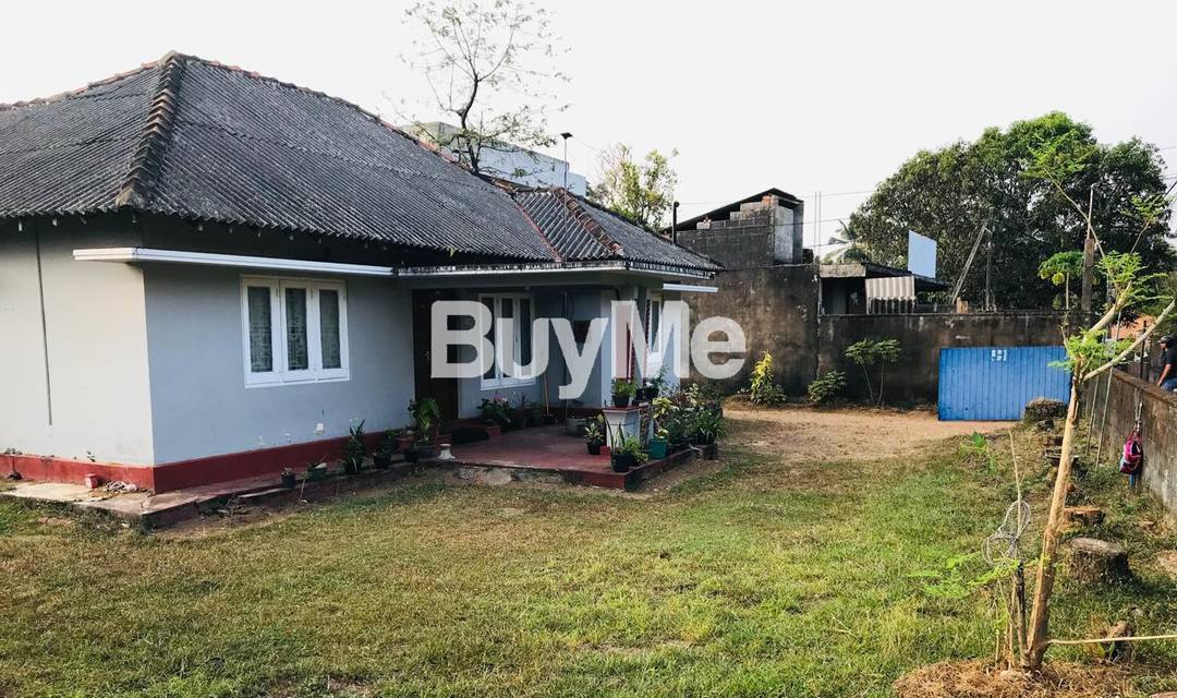 LAND FOR SALE IN HOMAGAMA.
