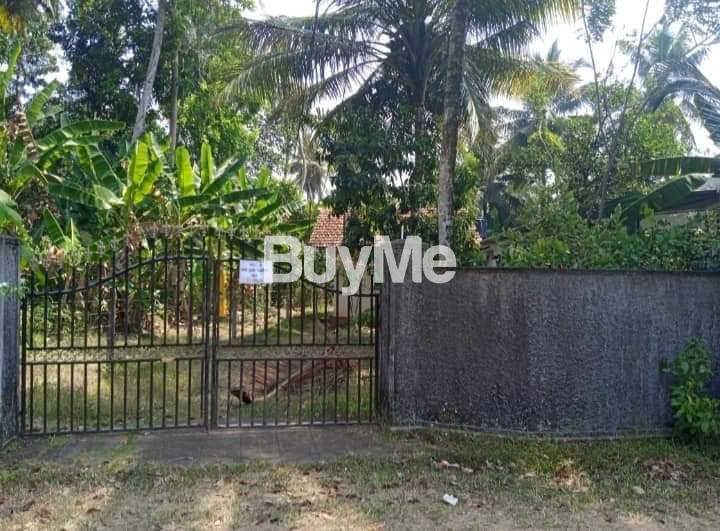 NEAR TO GALLE ROAD - LAND FOR SALE IN THALPITIYA, WADDUWA