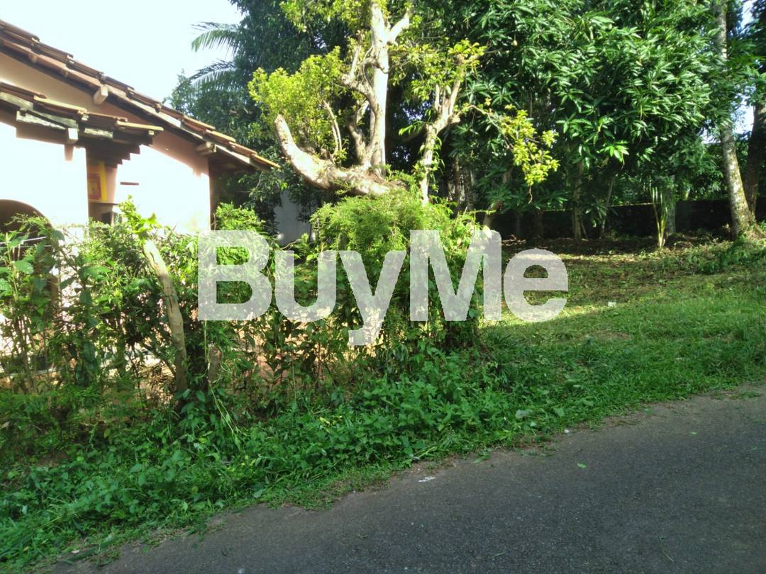 LAND WITH HOUSE FOR SALE IN KADAWATHA