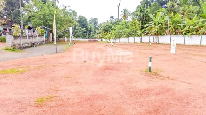 LAND FOR SALE IN WELIVERIYA - RAN NIYARA BY SAVI LANDS