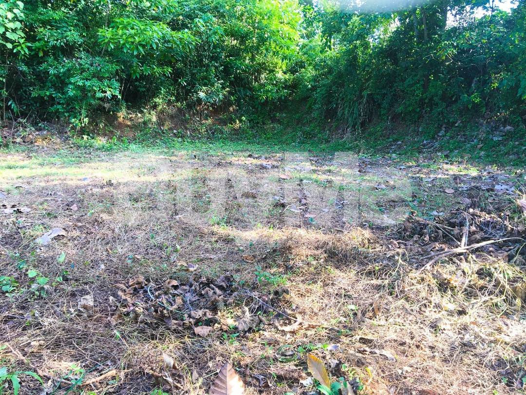 VALUABLE LAND FOR SALE IN PADUKKA - පාදුක්ක, අරුක්වත්ත අගනා බිම් කොටසක් විකිනීමට