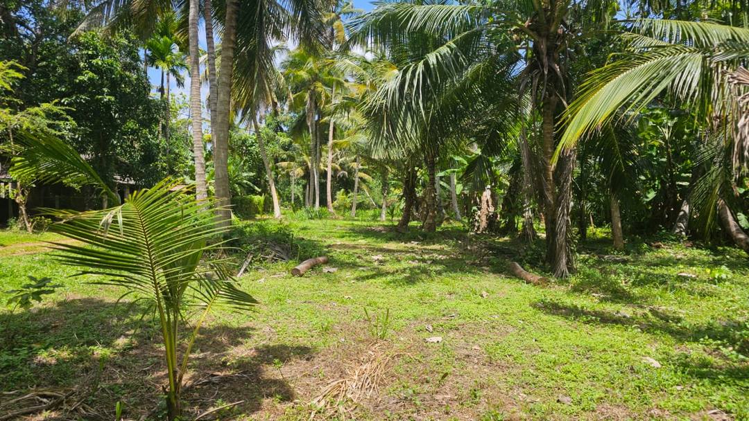 Land for Sale In Weerambuva, Near Wayamba University