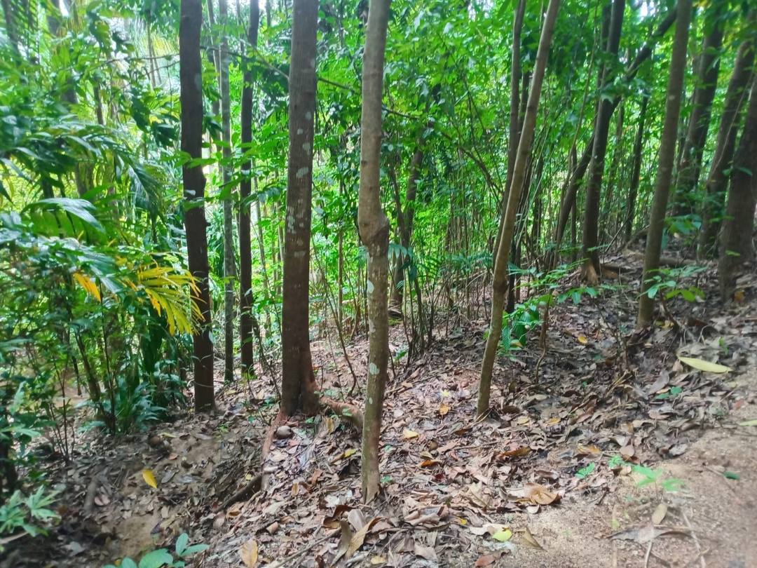 LAND FOR SALE โ GALAGEDARA, KANDY