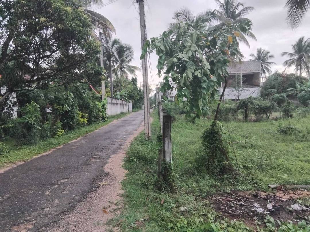 Residential Land for Sale In Kurunegala