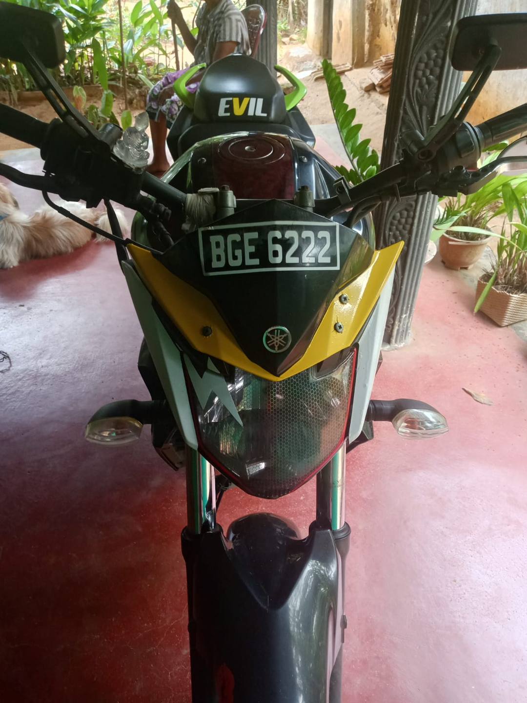 Yamaha FZ V2 2018