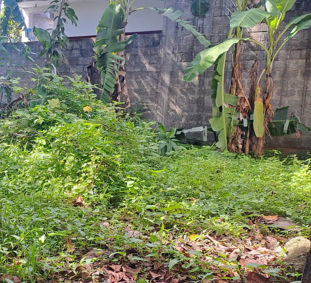 Residential Land for Sale Panadura
