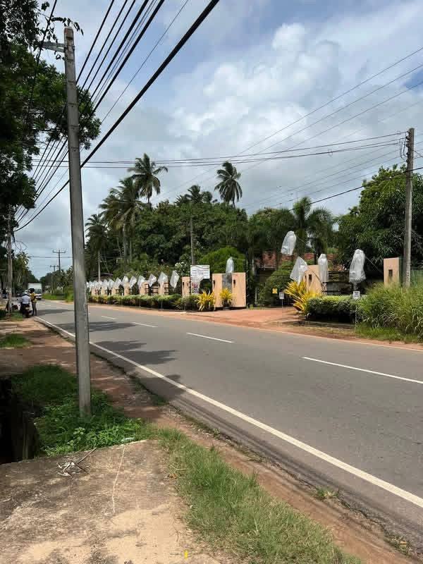 Prime Residential Land for Sale In Nattandiya