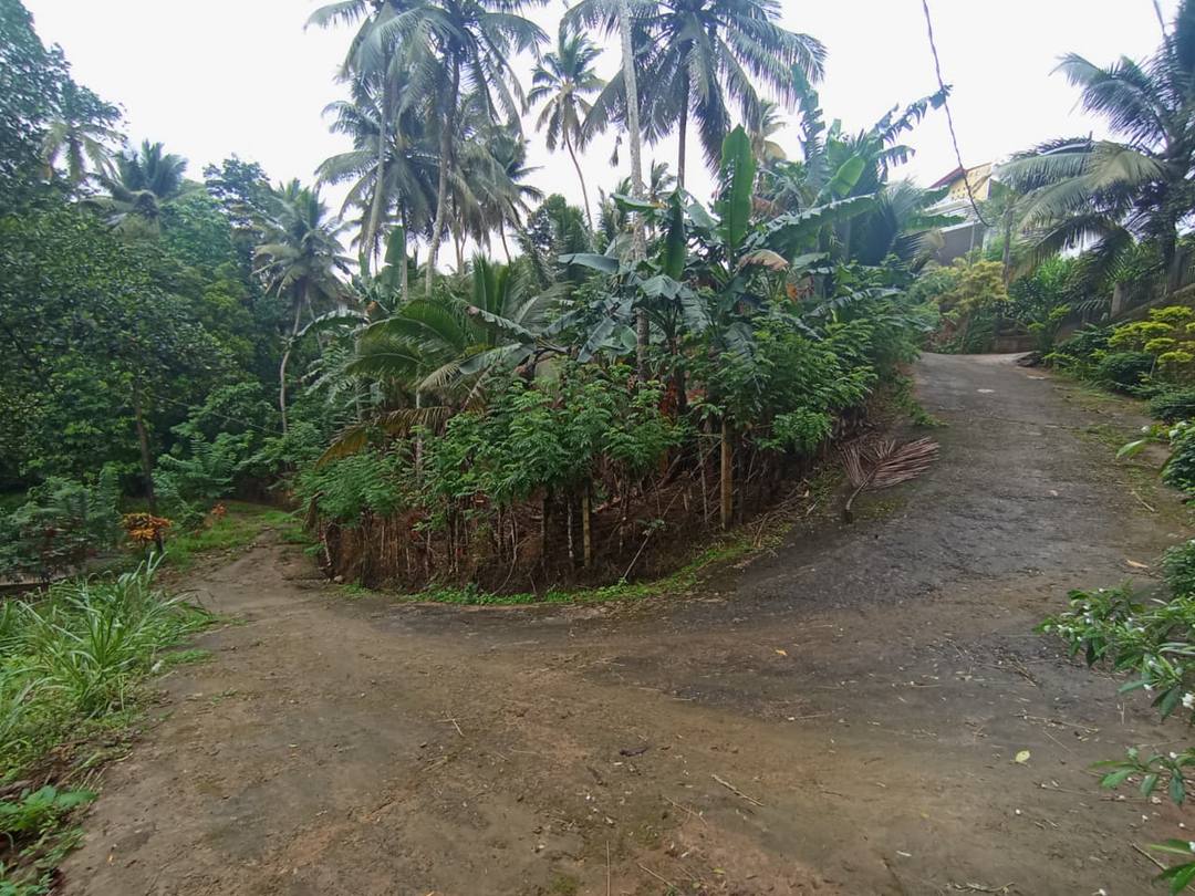 VALUABLE LAND FOR SALE – PILIMATHALAWA