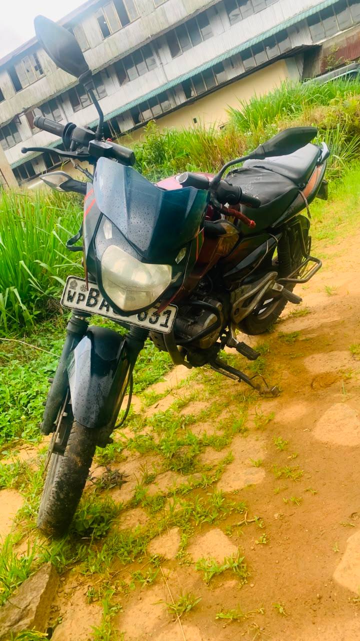 Bajaj Pulsar 135 2013