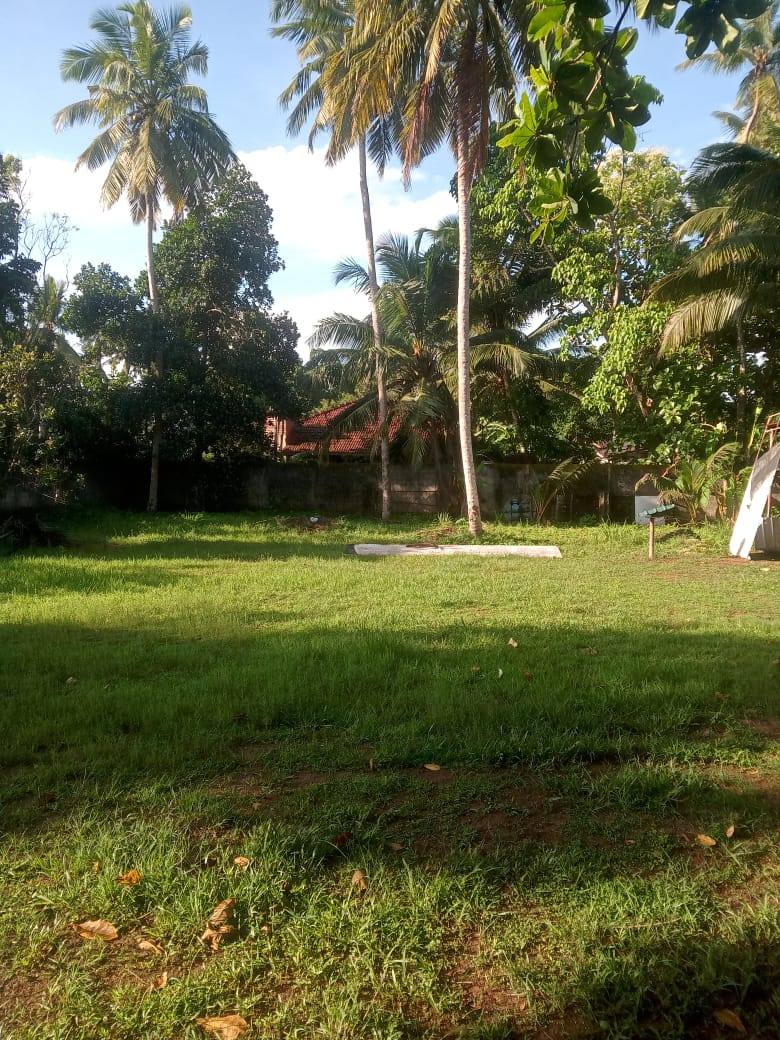 Land For Sale In Kadawala