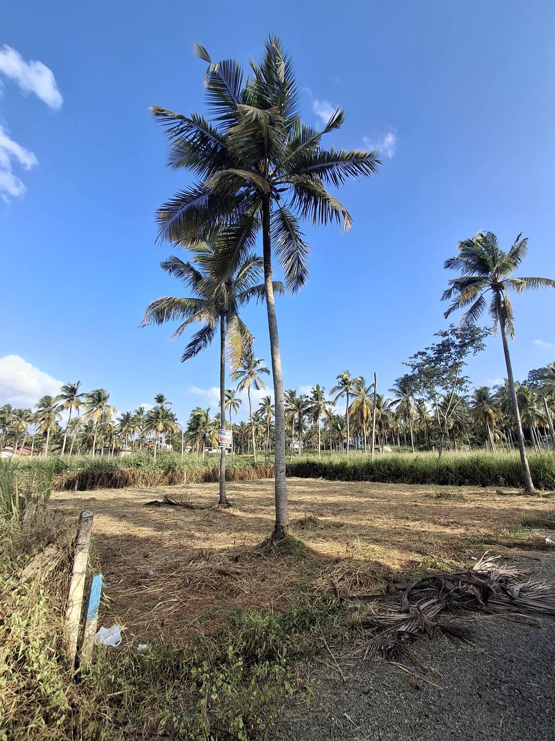 Prime Land for Sale – Kurunegala