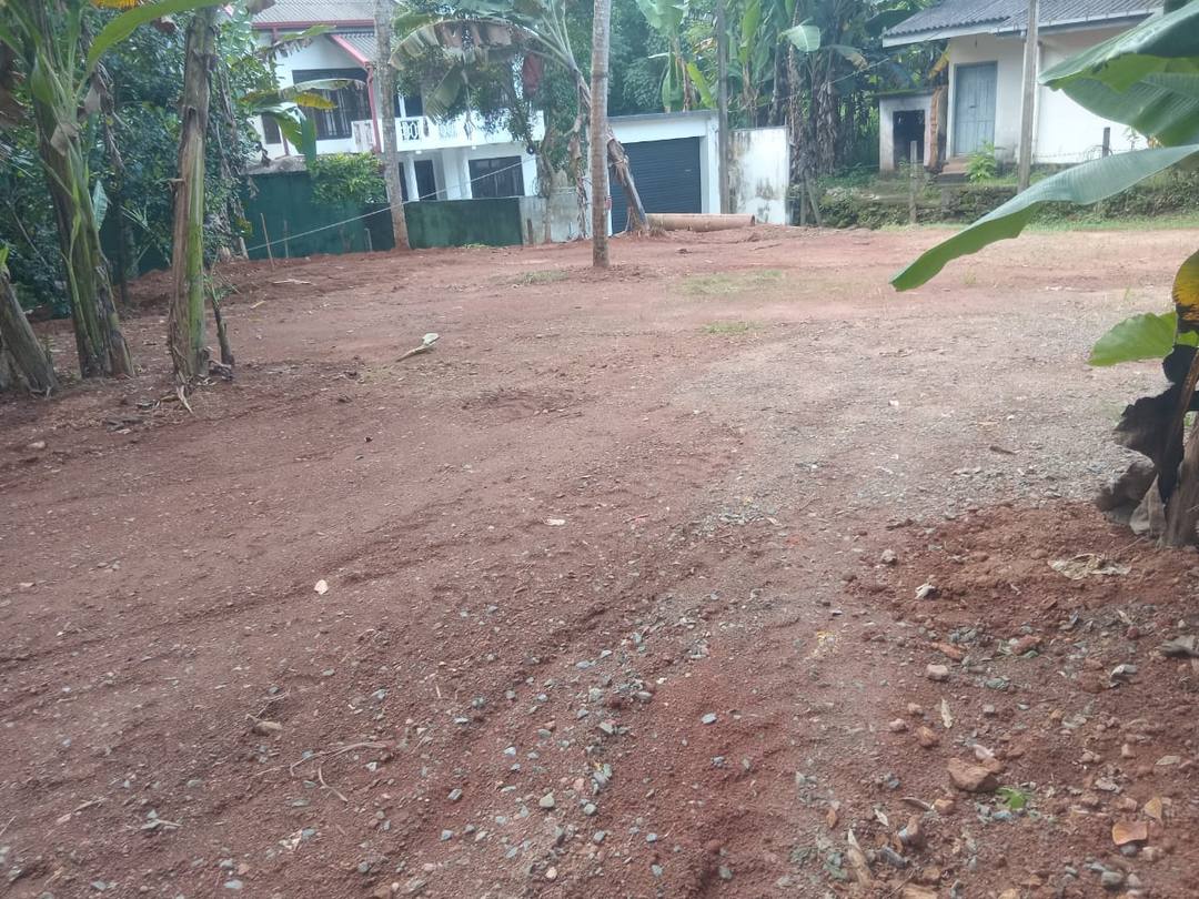 LAND FOR SALE IN HOMAGAMA
