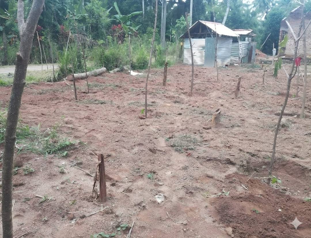 LAND FOR SALE IN BEMMULLA, GAMPAHA
