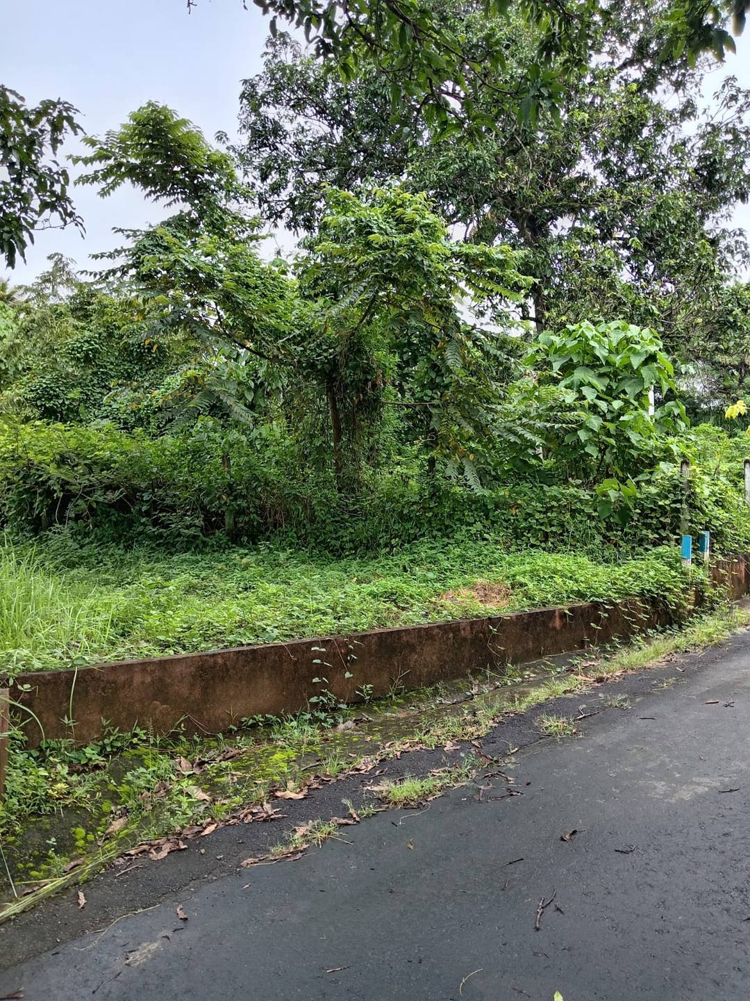 Land for Sale in Malabe