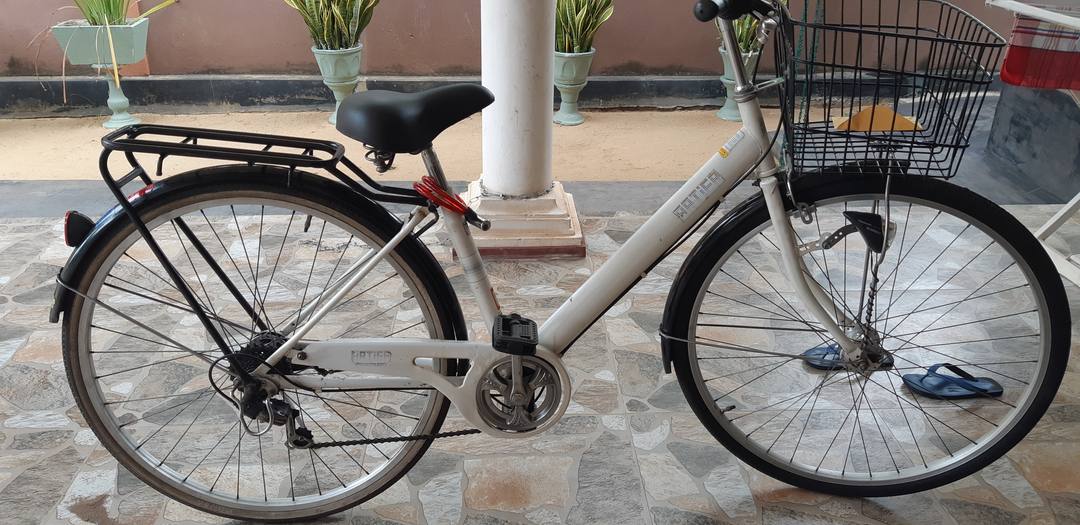 Daiwa Bicycle 2018