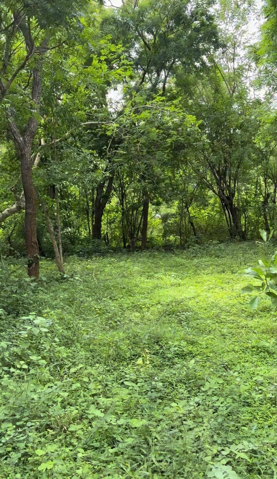 LAND FOR SALE IN KATARAGAMA