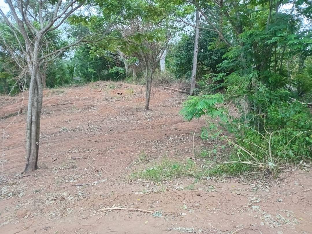 Valuable Land for Sale In Keppetipola, Nilella