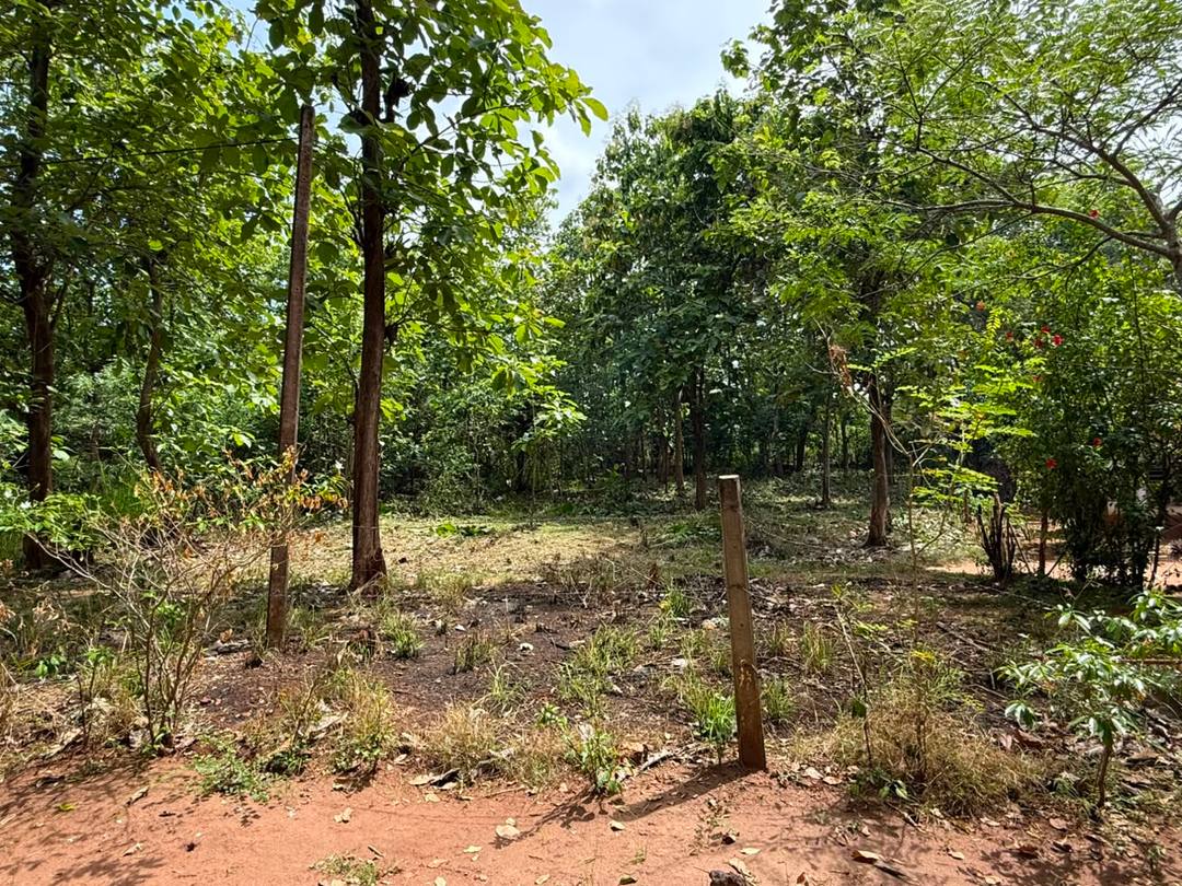 Valuable Square Land for Sale Anuradhapura