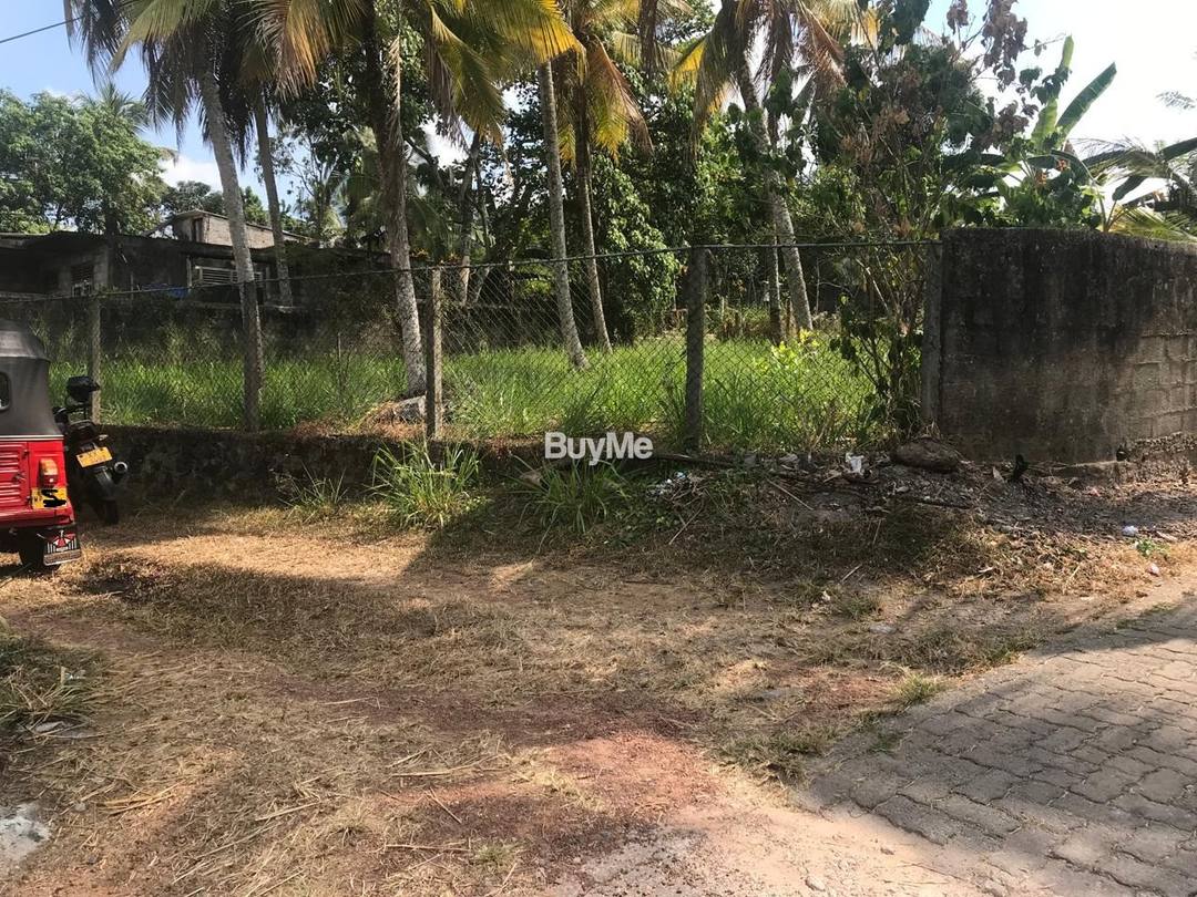 PRECIOUS LAND FOR SALE LOCATED ON KOTTAWA-MATTEGODA-KUDAMADUVA ROAD - (Road No.-342)