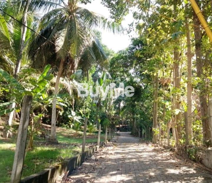 PROPERTY FOR SALE IN THE HEART OF RAJAGIRIYA - D-4535