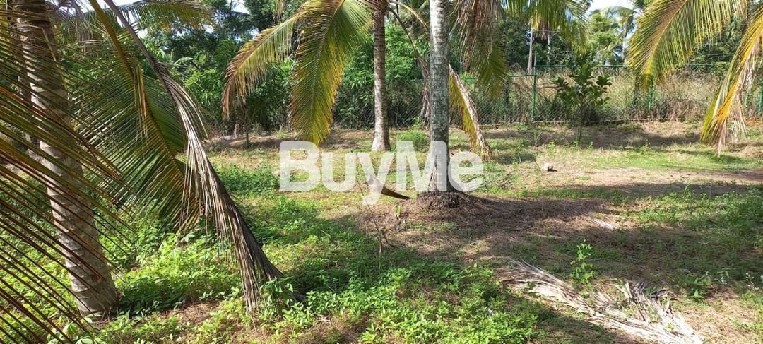 LAND FOR SALE IN WALPOLA
