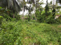 land-for-sale-in-badalgama-small-4
