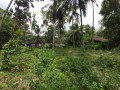 land-for-sale-in-badalgama-small-2