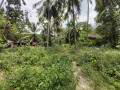 land-for-sale-in-badalgama-small-3