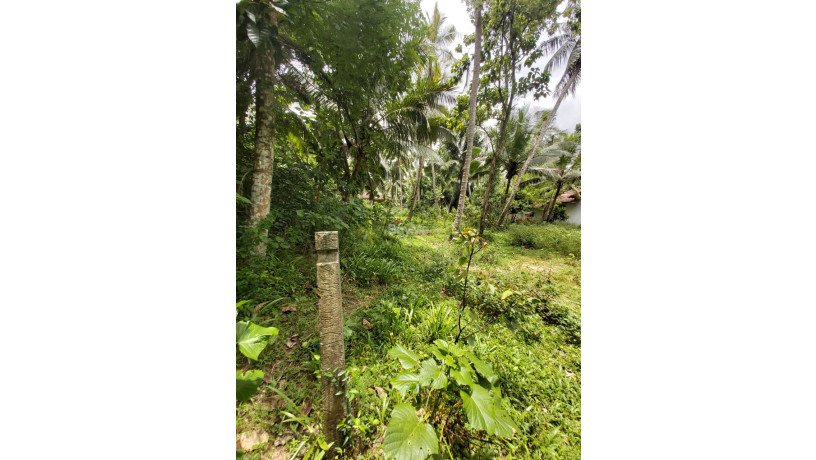 land-for-sale-in-badalgama-big-0