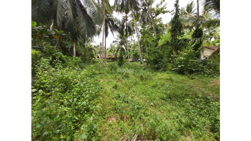 land-for-sale-in-badalgama-big-4