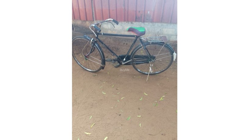 bicycle-for-sale-big-1