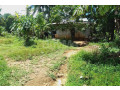 20-perch-land-with-house-for-sale-in-pugoda-small-6