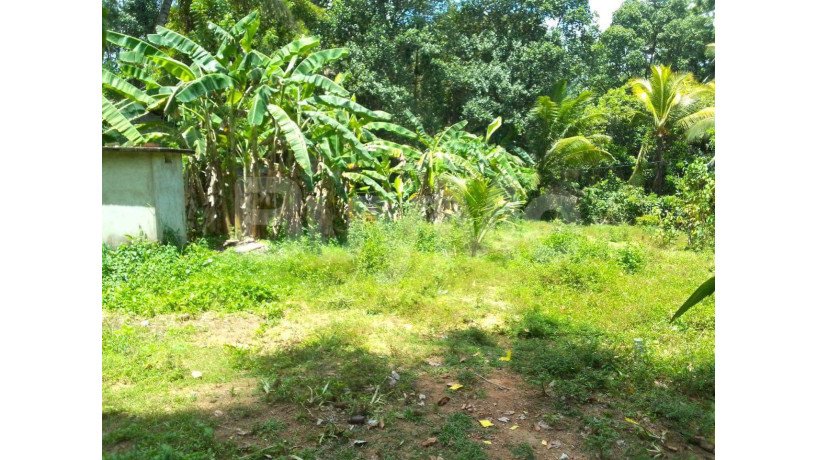 20-perch-land-with-house-for-sale-in-pugoda-big-7