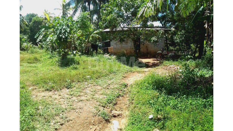 20-perch-land-with-house-for-sale-in-pugoda-big-4