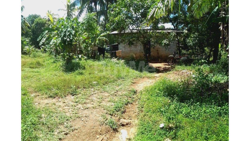 20-perch-land-with-house-for-sale-in-pugoda-big-6