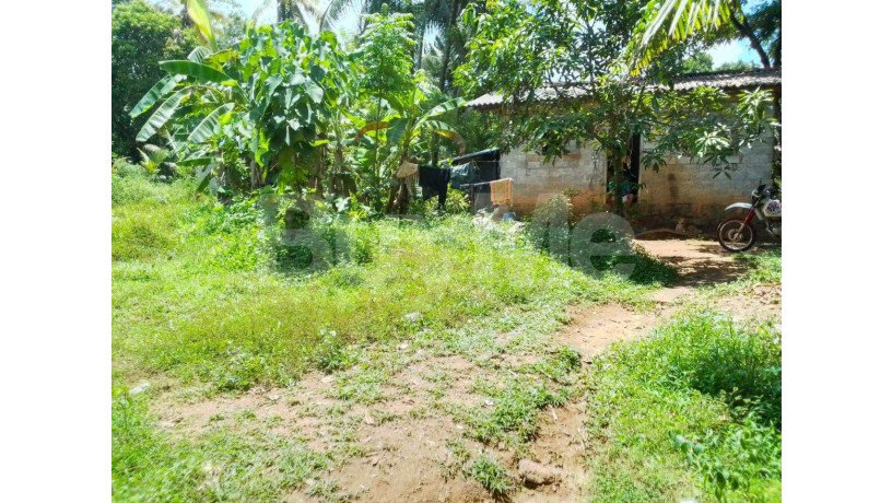 20-perch-land-with-house-for-sale-in-pugoda-big-0