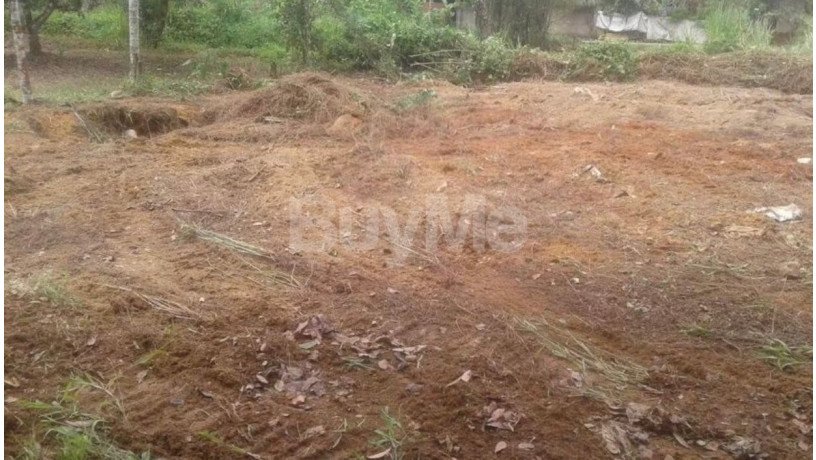 valuable-land-for-sale-in-ratnapura-big-3