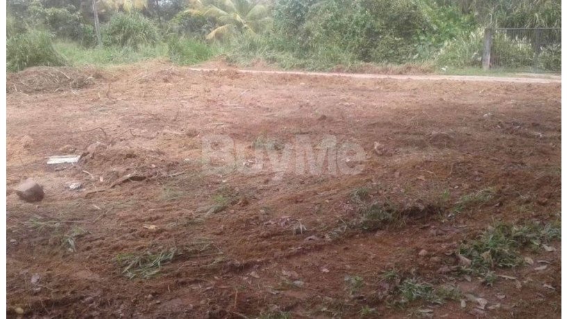 valuable-land-for-sale-in-ratnapura-big-1