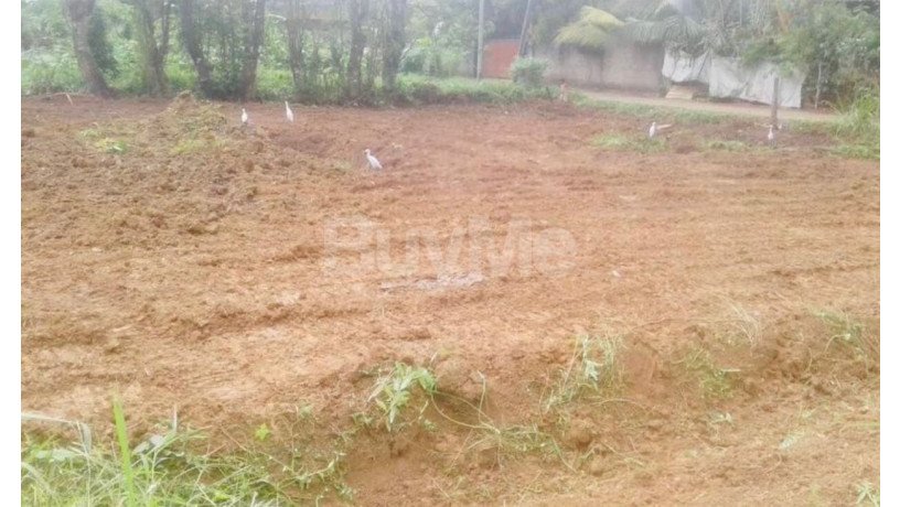 valuable-land-for-sale-in-ratnapura-big-4