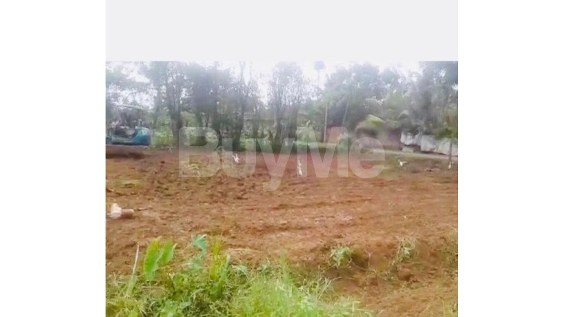 valuable-land-for-sale-in-ratnapura-big-2