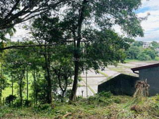 LAND FOR SALE IN THALAWATHUGODA FACING SCENIC PADDY FIELD