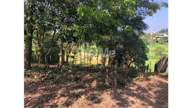 land-for-sale-in-thalawathugoda-facing-scenic-paddy-field-big-3