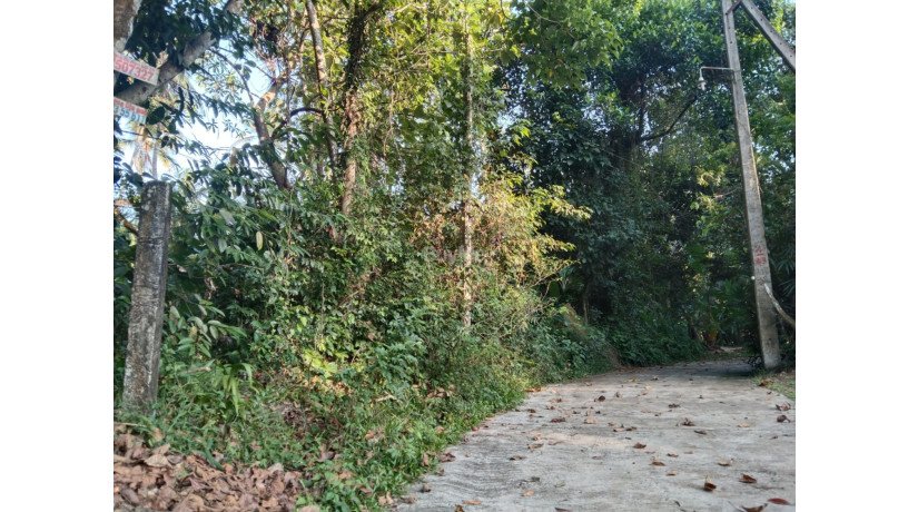 land-for-sale-in-bemmulla-gampaha-big-0