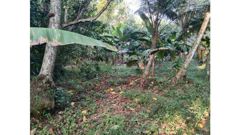 land-for-sale-in-bemmulla-gampaha-big-5