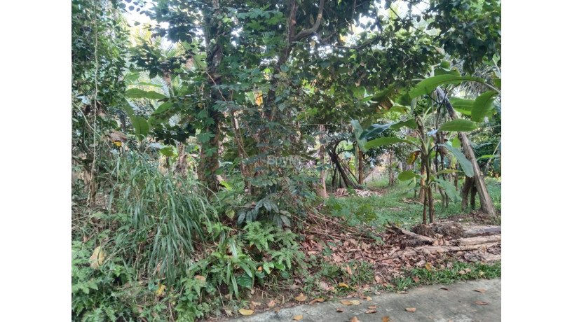 land-for-sale-in-bemmulla-gampaha-big-1